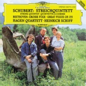 Heinrich Schiff, Bavarian Radio Symphony Orchestra & Maxim Shostakovich - String Quintet in C, D. 956: I. Allegro ma non troppo