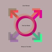Where Is the Man (Twin Sun Remix) artwork