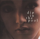 dip in the pool - Rabo del sol