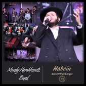 Habein Yakir Li (feat. Zanvil Weinberger & the Shira Choir) artwork