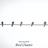 Early Spring Bird Chatter artwork