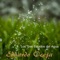 Solido - Eduardo Oceja lyrics