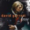 Canon - David Garrett lyrics