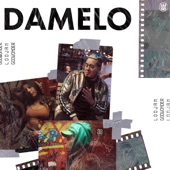 Damelo artwork