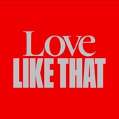 Love Like That (feat. Dani Poppitt) artwork