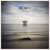 BEAK> - Broken Window