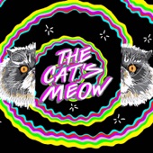 The Cat's Meow (feat. Amir Yaghmai) artwork