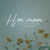 Hoe Mooi (feat. Delise) - Marjolein Keijzer
