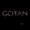 Desilusión - Gotan Project lyrics