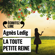 Agnès Ledig - La toute petite reine