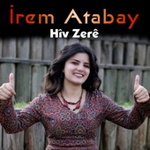 Hîv Zerê artwork