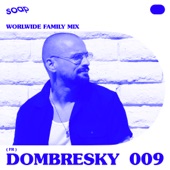 Soap Seoul Worldwide Family (DJ Mix) artwork