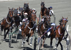 Upploppet är vårt