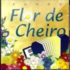 Forró Flor de Cheiro Vol. 2 - Forró Da Flor