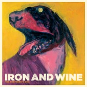 Iron & Wine - The Devil Never Sleeps