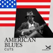 American Blues Cuts artwork