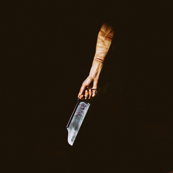 Cover artwork for Intro.Desolation