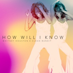 HOW WILL I KNOW cover art