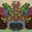 Lo.Renzo x Martins Garden - Siddhartha (by Outtallectuals)