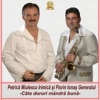 Cate Doruri Mandra Buna (feat. Florin Ionas Generalul) - Single