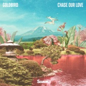 Chase Our Love artwork