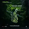 Grams Going Express (feat. Sheek Louch & Styles P) - Single album lyrics, reviews, download