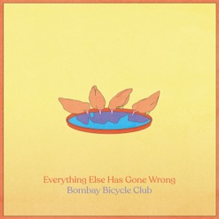 EVERYTHING ELSE HAS GONE WRONG cover art