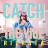 Catch the Vibe - Single