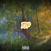 Top (feat. Bran) - Single album lyrics, reviews, download