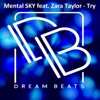 Mental Sky - Try (feat. Zara Taylor)