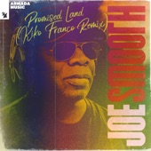 Promised Land (Kiko Franco Extended Remix) artwork