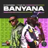 Banyana (feat. Sir Trill, Daliwonga & Kabza De Small) song lyrics