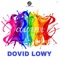 Colorful - Dovid Lowy lyrics