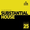 Substantial House, Vol. 25