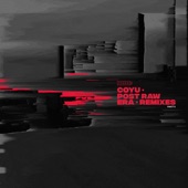 Post Raw Era Remixes, Pt. 2 - EP artwork