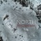 True North (feat. Michael Manring) - Jim Lampi lyrics