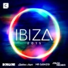 Ibiza 2015 Deluxe Edition (Mixed by Borgore, Mario Fischetti, Matthew Heyer & Mr. Gonzo) [DJ Mix]