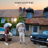 Menotté (feat. Landy) artwork