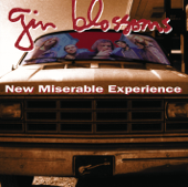 Hey Jealousy - Gin Blossoms Cover Art