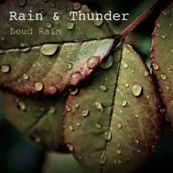 Loud Rain by Rain & Thunder album reviews, ratings, credits