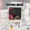 Down Bad (feat. Lil Quill) - Single album lyrics, reviews, download