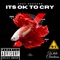 Its Ok To Cry - Chef Success lyrics