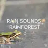 !!!" Rain Sounds Rainforest "!!! album lyrics, reviews, download