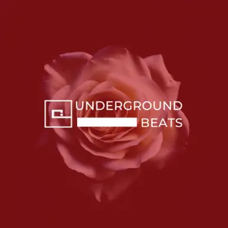 Underground Beats by Various Artists album reviews, ratings, credits