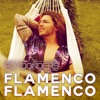 Flamenco Flamenco - Single