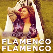 Flamenco Flamenco artwork