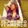 Flamenco Flamenco