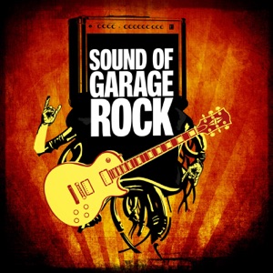 Sound of Garage Rock