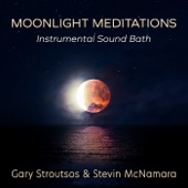 Stevin McNamara, Gary Stroutsos - Shibui-Elegant Moon - Savasana