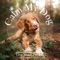 Alpha of the Pack - Relaxmydog, Dog Music Dreams & Dog Music lyrics